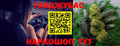 шишки Будённовск