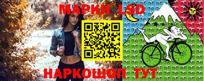 шишки Будённовск