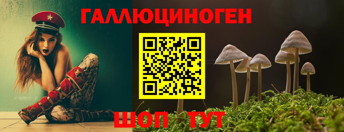 Псилоцибиновые грибы Psilocybe Солнечногорск
